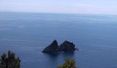 Trail Running La Seyne-sur-Mer - La Seyne/Mer, Notre dame du mai - Photo 2