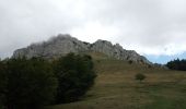 Percorso Marcia Saint-Pierre-de-Chartreuse - Correrie_Col de la Ruchère_Petit Som_Col de l'Echaud_Pas du Loup - Photo 12