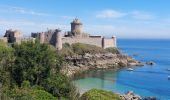 Randonnée Marche Plévenon - BOUCLE DEPUIS PLENEVON AVEC CAP FREHEL ET FORT LA LATTE - Photo 20