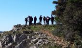 Trail Walking Cuers - Barres de Cuers  - Photo 9