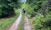 Trail Horseback riding Raon-l'Étape - Reconnaissance patrice 2024 - Photo 2