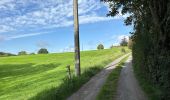 Trail Walking Raeren - Hauset 22,8 km - Photo 1