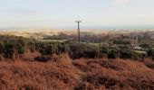 Percorso A piedi Sconosciuto - Tollymore Forest - The Drinns Trail - Photo 10