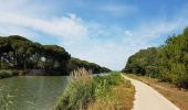 Randonnée Cyclotourisme Saintes-Maries-de-la-Mer - Stes Maries de la Mer  -  Sète - Photo 2