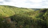 Tour Wandern La Roche-en-Ardenne - GR 57 02 : Beausaint - Nisramont  - Photo 12