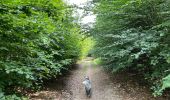 Trail Walking Libramont-Chevigny - Séviscourt - Photo 6
