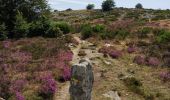 Tour Wandern Saint-Martin-de-l'Arçon - le Caroux - Photo 10