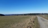 Tocht Stappen Manhay - plateau des tailles depuis Odeigne  - Photo 20