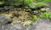 Tocht  Le Valtin - Sentier des roches frankenthal col de la schlucht - Photo 3