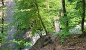 Trail Walking Blumberg - Cascade Schleifenbach et gorges de Wutach - Photo 2