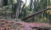 Randonnée Marche Flémalle - Chokier Flemalle 18,5 km - Photo 4