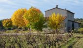 Randonnée Marche Les Arcs-sur-Argens - Chemin de Compostelle de Abbaye Celle Roubaud à Lorgues par Ermitage St Ferréol - Photo 8