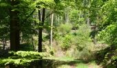 Excursión A pie Bad Dürkheim - Historischer Rundwanderweg Leistadt - Photo 3