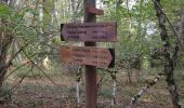 Tour Wandern Bédeilhac-et-Aynat - au pied du Calames - Photo 5