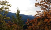 Tour Wandern Engins - boucle Molière par le pas de la Loze - Photo 3