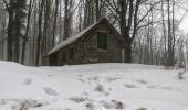 Excursión A pie Pelago - Sentiero 0 – da Passo della Consuma a Croce al Cardeto - Photo 4