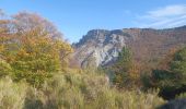 Trail Walking Le Castellard-Mélan - MELAN . Col de Mounis  , sommet du Corbeau o l s - Photo 10