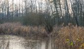 Tour Zu Fuß Bad Bohdanetsch - naučná stezka Gočárův okruh - Photo 7