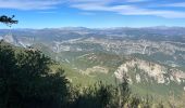 Tour Wandern Coursegoules - Coursegoules <-> Gréolières les Neiges - Photo 9