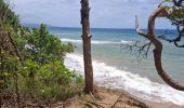 Tour Wandern La Trinité - bouc’le spoutourne  - Photo 2