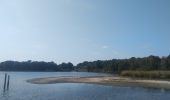Trail Walking Kalmthout - Kalmthoutse Heide - Photo 3