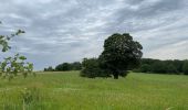 Excursión Senderismo Anthisnes - Villers aux tours - Photo 5