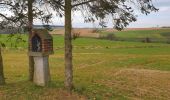 Tour Wandern Walcourt - 5km autour de Walcourt - Photo 2