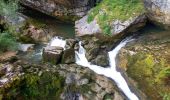 Tocht Stappen Bourg-de-Sirod - Perte de l'Ain 15.7.24 - Photo 5