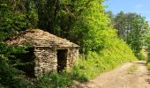 Trail Walking Pernand-Vergelesses - 01 05 22 les cabottes - Photo 13