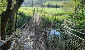 Excursión Senderismo Le Lorrain - Boucle Vallon - Morne-Bois - Seguineau - Photo 8