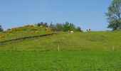 Trail Walking Le Puy-en-Velay - Chemin de Stenvenson 1 - Photo 13