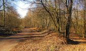 Randonnée Marche Retheuil - en forêt de Retz_76_dans les forêts de Retz et de Compiègne - Photo 3