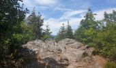 Trail Walking Dambach-la-Ville - Sommets et rochers - Photo 17