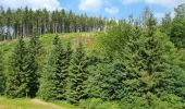 Excursión Senderismo Waimes - hautes fagnes  - Photo 12