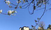 Percorso Marcia Saint-Alban-Leysse - Cascades-Doria-2021-03-31 - Photo 6