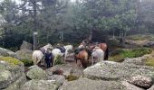 Tour Reiten Oberhaslach - 2020-08-30 Picnic CVA Rocher de Mutzig - Photo 4