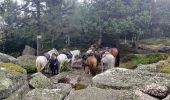 Trail Horseback riding Oberhaslach - 2020-08-30 Picnic CVA Rocher de Mutzig - Photo 4