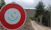 Randonnée Marche Trévillach - Séquière depuis le col des Auzines  - Photo 15