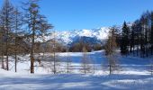 Percorso Racchette da neve Montricher-Albanne - 74-vinouve_piste_lac_7km30m - Photo 4