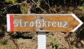 Tour Zu Fuß Mortantsch - Wanderweg 4 - Photo 6
