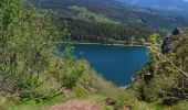 Excursión Senderismo Soultzeren - Petit tour des 4 lacs - Photo 8
