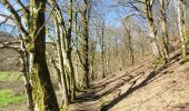 Randonnée Marche Bertrix - rando auby sur semois 14-03-2024 - Photo 20