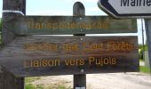 Tour Zu Fuß Pujols-sur-Ciron - Pujols-sur-Ciron : boucle locale - Photo 4