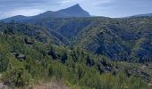 Trail Walking Aix-en-Provence - 13-bibemus_barrages_zola&bimont_10km270m - Photo 14