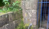 Trail  Obernai - Domaine St Jacques Mont St Odile  - Photo 6