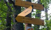 Tour Wandern Authon - Sommet des Monges - Photo 4