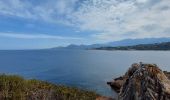 Excursión Senderismo Calvi - Phare de Revellata - Photo 9