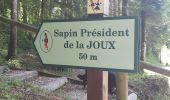 Excursión Senderismo Villers-sous-Chalamont - Route des sapins Montorge - Photo 9