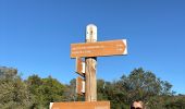 Tocht  Saint-Bauzille-de-Putois - Plateau du Taurac - Photo 15