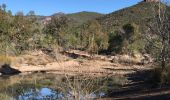 Trail  Fréjus - Colle douce - vers Capelan  - Photo 1